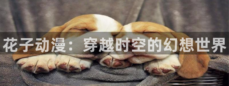 里番卡通动漫在线观看:花子动漫:穿越时空的幻想世界配图