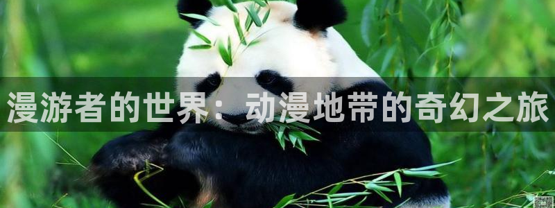 里番动漫在线观看网站:漫游者的世界:动漫地带的奇幻之旅配图