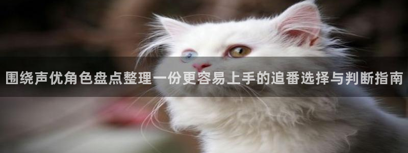 母系里番动漫在线观看：围绕声优角色盘点整理一份更容易上手的追番选择与判断指南配图