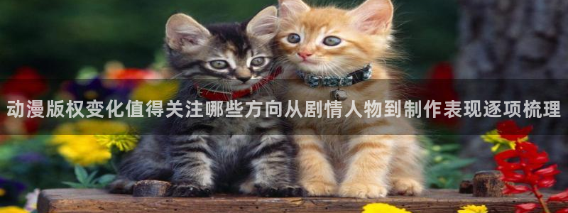 里番卡通动漫在线观看:动漫版权变化值得关注哪些方向从剧情人物到制作表现逐项梳理配图