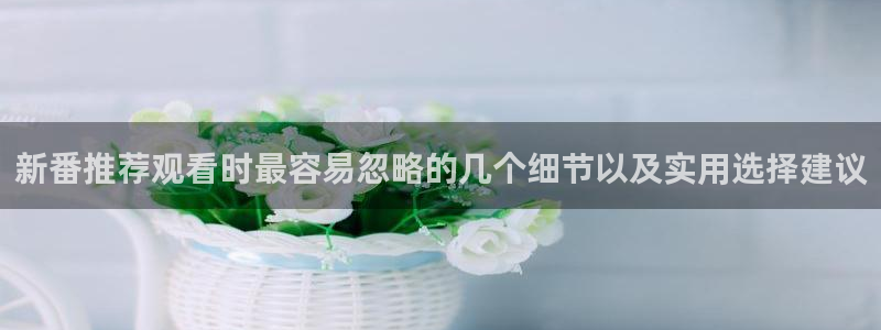 里番动漫在线观看安卓:新番推荐观看时最容易忽略的几个细节以及实用选择建议配图