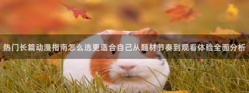 里番番动漫在线观看:热门长篇动漫指南怎么选更适合自己从题材节奏到观看体验全面分析配图