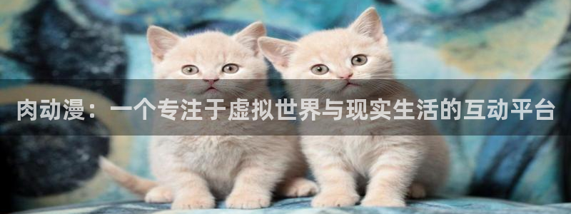 妖精里番在线观看动漫：肉动漫：一个专注于虚拟世界与现实生活的互动平台配图