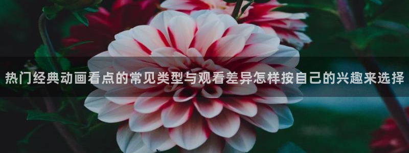 详细里番动漫在线观看:热门经典动画看点的常见类型与观看差异怎样按自己的兴趣来选择配图
