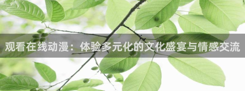 在线里番动漫观看:观看在线动漫:体验多元化的文化盛宴与情感交流配图