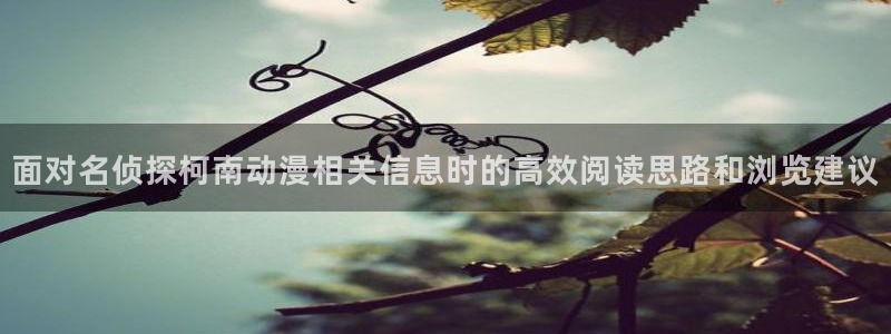 里番动漫在线观看i:面对名侦探柯南动漫相关信息时的高效阅读思路和浏览建议配图