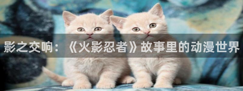 在线观看 里番动漫:影之交响:《火影忍者》故事里的动漫世界配图