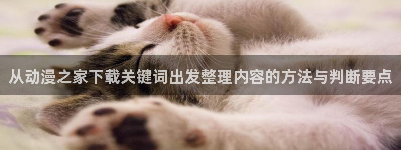 里动漫番在线观看:从动漫之家下载关键词出发整理内容的方法与判断要点配图